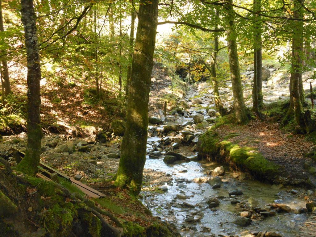 Allgaeustueble Steibis Exteriér fotografie